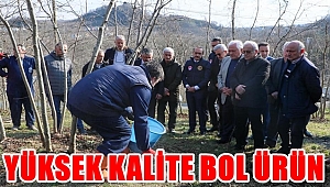 Fındıkta kalite ve verimi arttırma çalışmaları