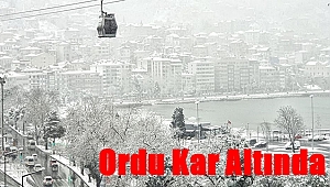 Ordu'da kar yağışı etkili oluyor