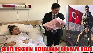 Ordu'da Şehit askerin bugün kızı dünyaya geldi