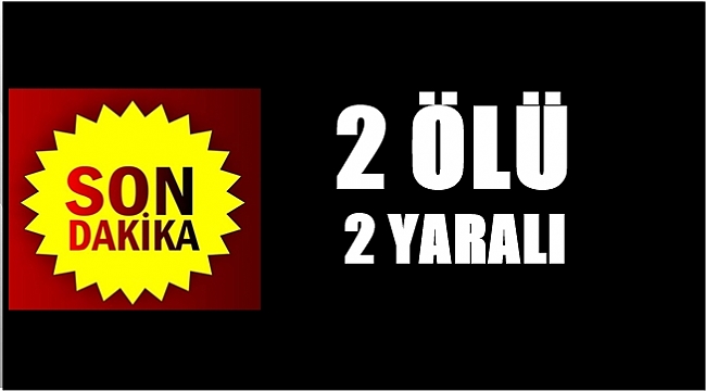 Ordu&#039;da trafik kazası: 2 ölü 2 yaralı