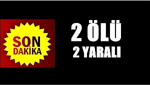 Ordu'da trafik kazası: 2 ölü 2 yaralı