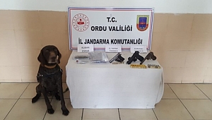 Ordu'da uyuşturucu operasyonu 4 kişi gözaltına alındı