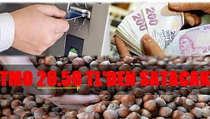 TMO Fındık satacak