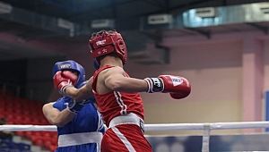 Türkiye Boks Şampiyonası Ordu'da yapılıyor