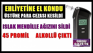 Ağızını ıslak mendille silen sürücü alkollü çıktı ehliyetine el kondu