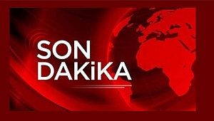 Dereye düşen koyunları kurtarmak isterken öldü