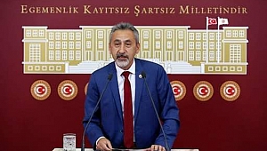 Fatsa'daki altın madeni ocağı Meclis gündeminde