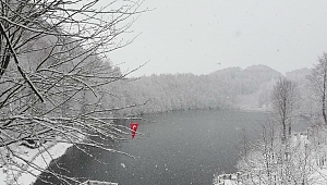 Ordu'da 155 Mahalle Yolu Ulaşıma Kapandı