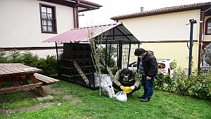 Ordu'da 'Kedi Evi' Kuruldu