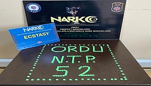 Ordu'da narkotik ekipleri 8 kişiyi gözaltına aldı