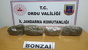Ordu'dan uyuşturucudan 3 kişi gözaltına alındı