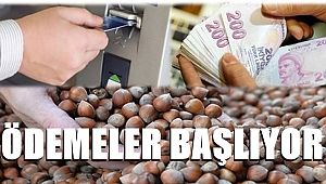 Üreticilere alan bazlı destekleme ödemeleri başlıyor