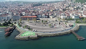 Ayışığı Otoparkı Ağaçlandırılıyor