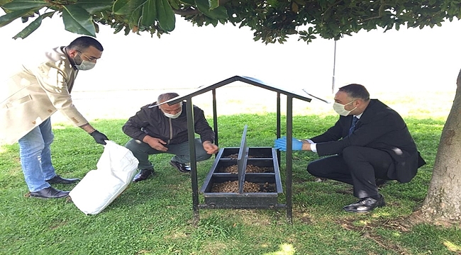 Büyükşehir sokak hayvanlarına büyük önem veriyor