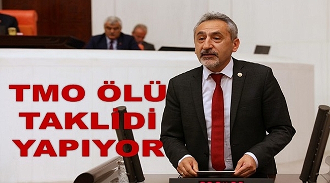 'Fındık fiyatı 25 TL'yi geçti'