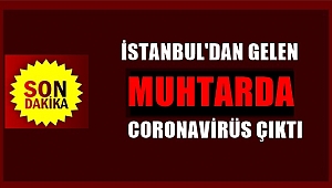 İstanbul'dan gelen muhtarda Coronavirüs tespit edildi