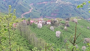 Muhtar açıkladı: 300 kişi karantinada 6 kişi hastanede