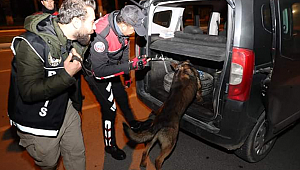 Ordu'da 17 kişi yakalandı