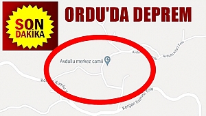 Ordu'da 4.1 büyüklüğünde deprem meydana geldi