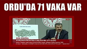 Ordu'da 71 koronavirüs vakası var