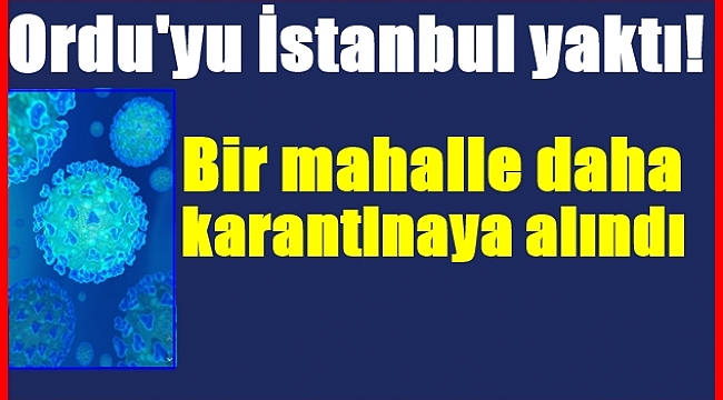 Ordu'da Coronavirüs nedeniyle bir mahalle daha karantinada