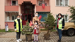 Ordu'da findanlar fidanlarla buluştu