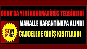 Ordu'da koronavirüs tedbirleri: Mahalle karantinaya alındı