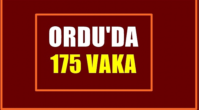 Ordu'da pozitif vaka sayısı 175'e yükseldi