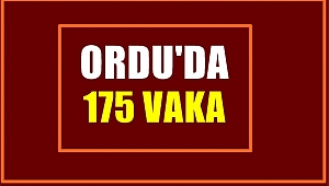 Ordu'da pozitif vaka sayısı 175'e yükseldi