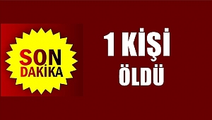 Ordu'da yıldırım düştü 1 kadın öldü