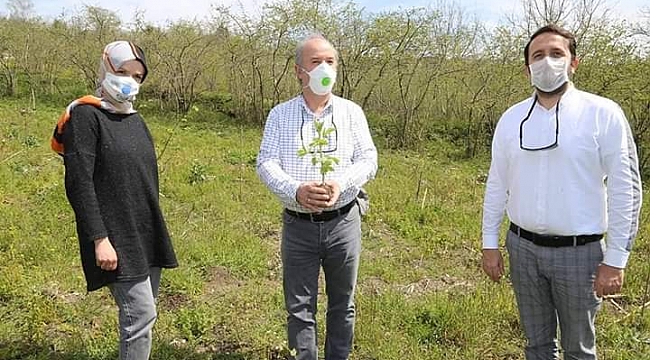 ORTAR Kara Mürver üretecek