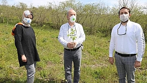 ORTAR Kara Mürver üretecek