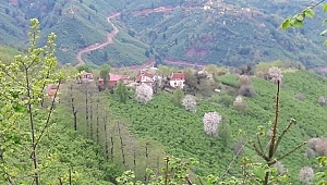 Perşembe Hacılar Mahallesi'nde karantina kaldırıldı