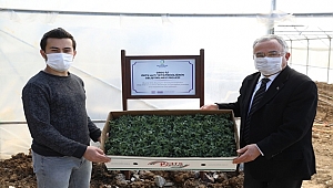 Başkan Güler: Tarımda Ordu Modeli Yaratıyoruz