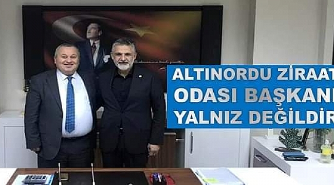 Enginyurt: Meydan boş değil