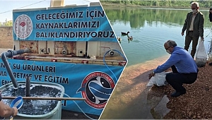 Gaga Gölü'ne 25 bin adet sazan yavrusu bırakıldı.