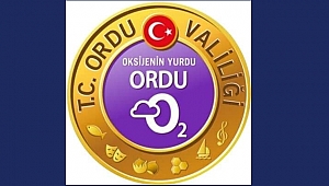Ordu'da 3 kaymakam asaleten atandı