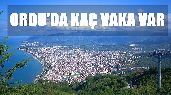 Ordu'da hangi ilçede kaç coronavirüs vakası görüldü