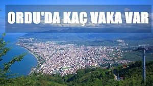 Ordu'da hangi ilçede kaç coronavirüs vakası görüldü