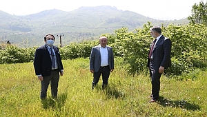 Ordu'da tarımsal verimlilik artacak