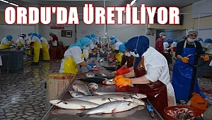 Ordu'dan Japonya ve Rusya'ya ihraç ediliyor