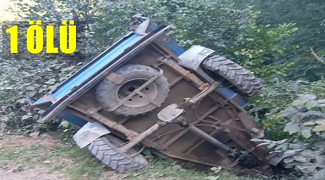 Sürücü olay yerinde yaşamını kaybetti