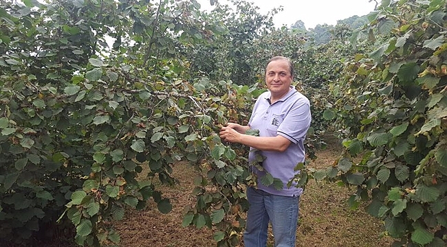 Torun: Fındık üreticisi halimiz ne olacak diye düşünüyor