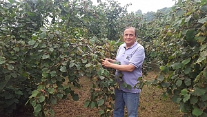 Torun: Fındık üreticisi halimiz ne olacak diye düşünüyor