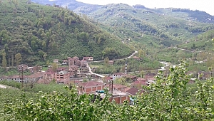 Yeni vaka görülmedi karantina sonlandırıldı