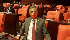 Adıgüzel: Fındık fiyatları 30 TL'yi aşar