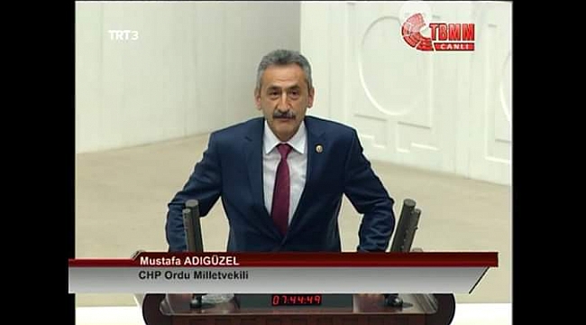 Adıgüzel: Fındıkta oyun var fiyatlar düşüyor