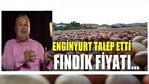 Enginyurt fındık taban fiyatı için konuştu