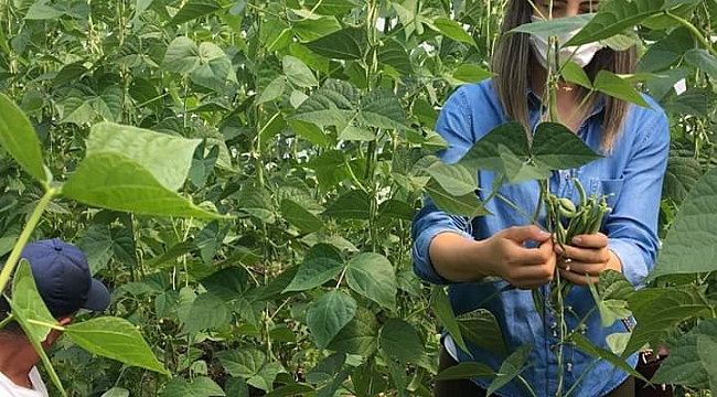 Kazanmak için üretmek gerekiyor