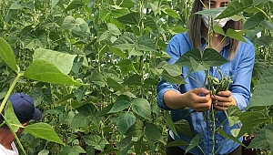 Kazanmak için üretmek gerekiyor